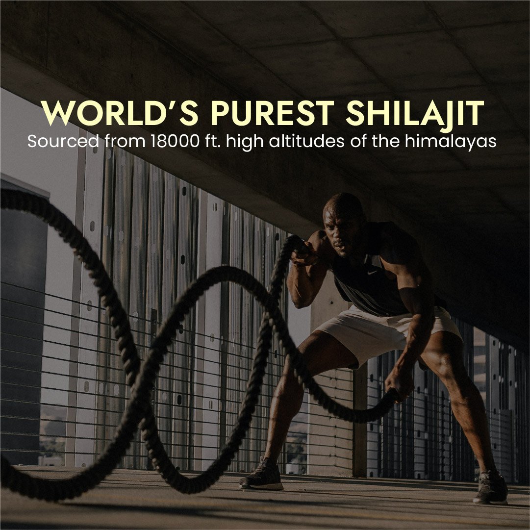 Hashmi Sikander E Azam Pure Himalayan Shilajit Resin, 10g - Image 4
