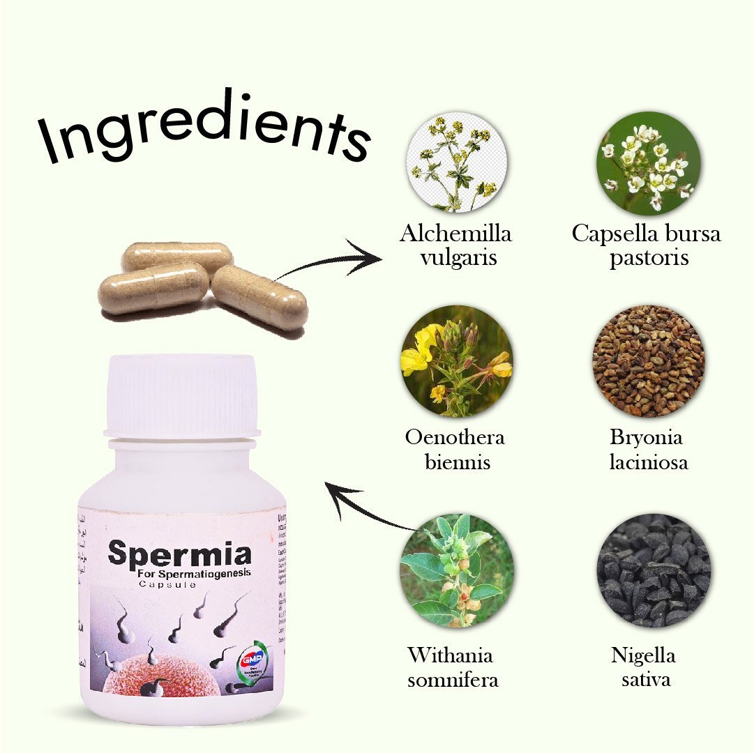 Hashmi Spermia Capsule - Image 7